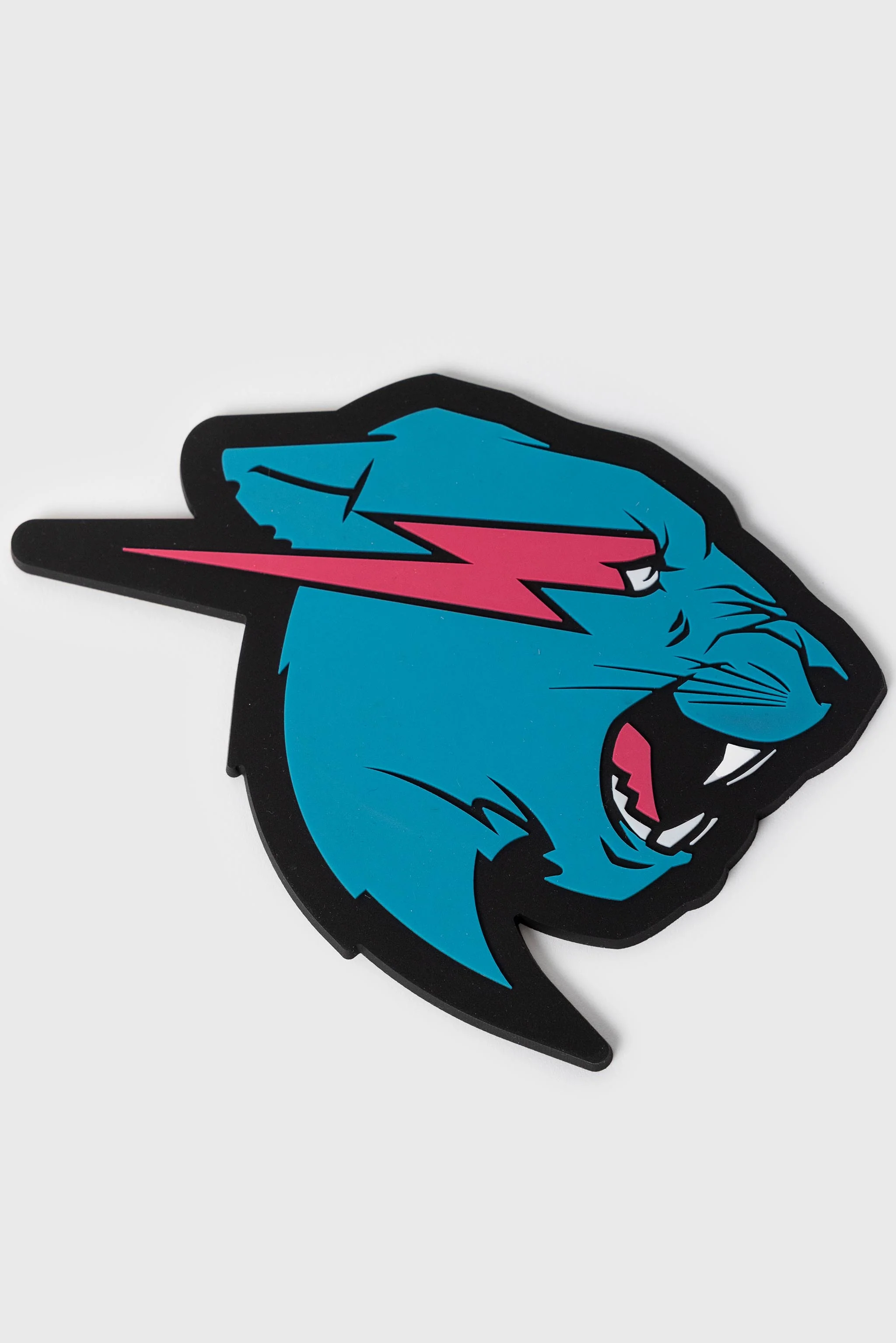 PANTHER COASTER