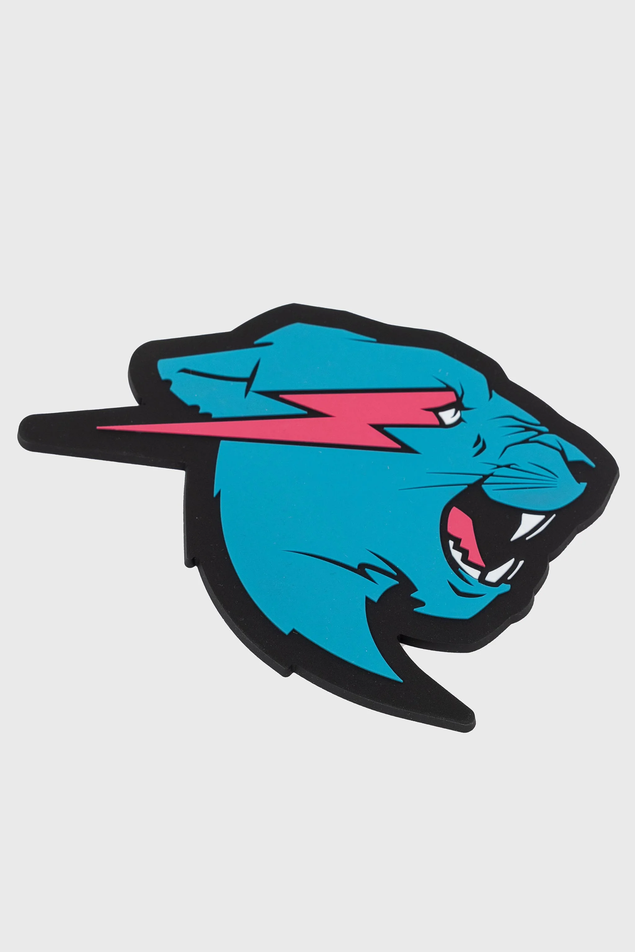 PANTHER COASTER - Image 2