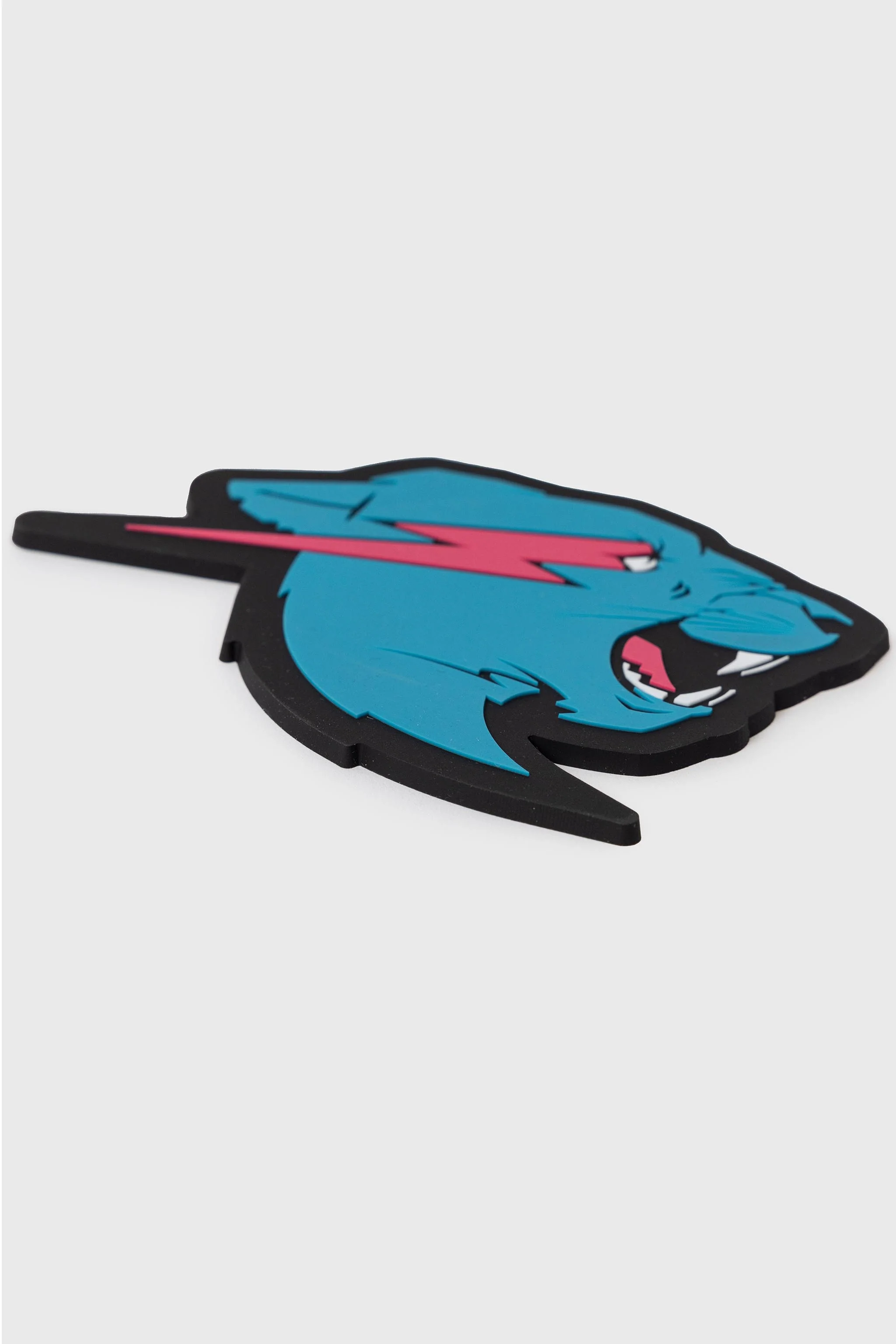 PANTHER COASTER - Image 3